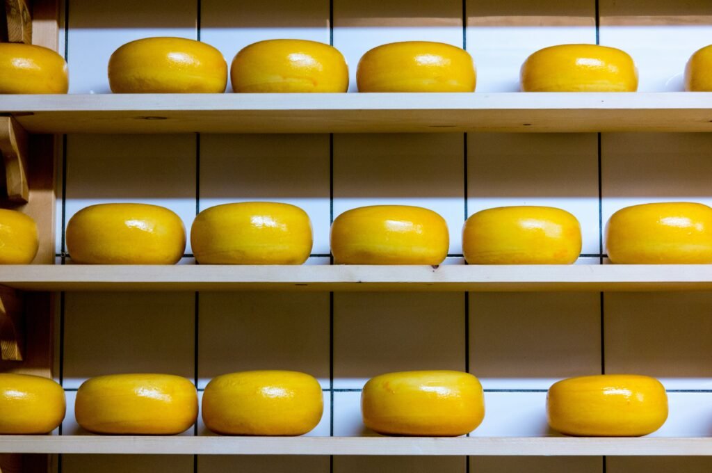 Encountering Different Types of Cheese in Everyday Life